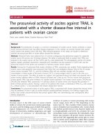 báo cáo hóa học: