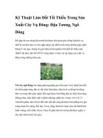 Kỹ Thuật Làm Đất Tối Thiểu Trong Sản Xuất Cây Vụ Đông: Đậu Tương, Ngô pdf