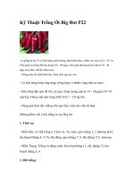 Kỹ Thuật Trồng Ớt Big Hot P22 potx