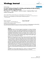 Báo cáo hóa học: 