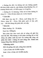 Thực hành trồng cây ở vùng trung du part 8 pdf
