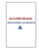 báo cáo thường niên 2012 Công ty cổ phần Vạn Phát Hưng