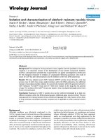 Báo cáo hóa học: 