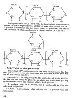 Giáo trình vi sinh vật học công nghiệp part 5 pptx