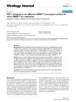 Báo cáo hóa học: 