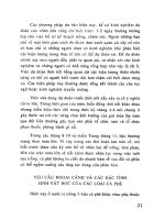 Kỹ thuật trồng cà phê mật độ dày cho năng suất cao part 3 docx