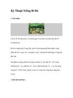 Kỹ Thuật Trồng Bí Đỏ pot