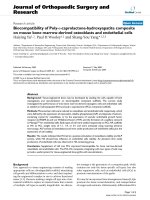 báo cáo hóa học: