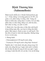 Bệnh Thương hàn (Salmonellosis) doc