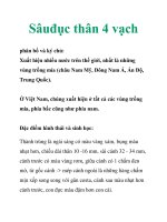 Sâuđục thân 4 vạch ppt
