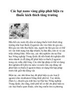 Các hạt nano vàng giúp phát hiện ra thuốc kích thích tăng trưởng potx