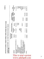 Chapter 3: Financial Audit _part2 potx