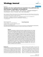 Báo cáo hóa học: 