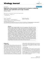 báo cáo hóa học: