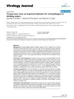 Báo cáo hóa học: 