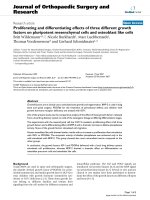 báo cáo hóa học: