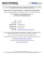 báo cáo hóa học: 