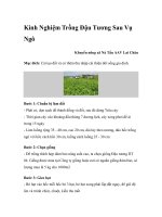 Kinh Nghiệm Trồng Đậu Tương Sau Vụ Ngô pot