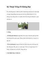 Kỹ Thuật Trồng Ổi Không Hạt docx