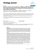 Báo cáo hóa học: 