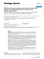 Báo cáo hóa học: 