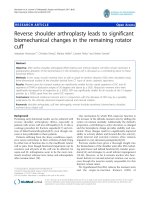 báo cáo hóa học: