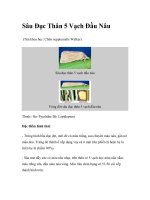 Sâu Đục Thân 5 Vạch Đầu Nâu docx