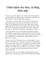 Chữa bệnh cho tôm, cá bằng thảo mộc pptx