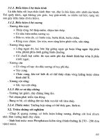 Giáo trình điều dưỡng nhi khoa part 4 pdf