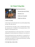 Kỹ Thuật Trồng Dứa docx