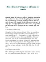 Điều tiết sinh trưởng phát triển của cây hoa cúc docx