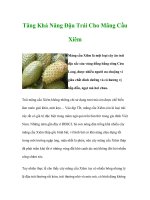 Tăng Khả Năng Đậu Trái Cho Mãng Cầu Xiêm potx