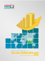 ngân hàng kiên long báo cáo thường niên 2012