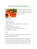 Cây Gấc Và Kỹ Thuật Trồng Gấc doc