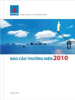 tập đoàn dầu khí việt nam báo cáo thường niên 2010 năng lượng cho phát triển đất nước