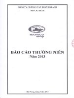 báo cáo thường niên 2013 công ty tập đoàn hapaco
