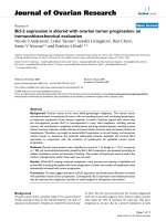 báo cáo hóa học: