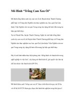 Mô Hình “Trồng Cam Xen Ổi” pdf