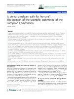 báo cáo hóa học: 