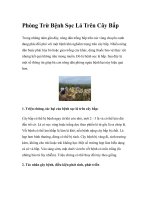 Phòng Trừ Bệnh Sọc Lá Trên Cây Bắp pdf