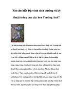 Xin cho biết Đặc tính sinh trưởng và kỹ thuật trồng của cây hoa Trường Anh? ppt