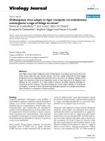 Báo cáo hóa học: 