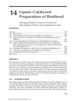 Handbook of plant based biofuels - Chapter 14 pdf