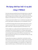 Nghiên cứu khoa học 