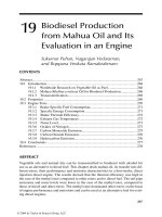 Handbook of plant based biofuels - Chapter 19 potx