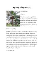 Kỹ thuật trồng Dừa (P1) doc
