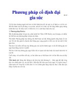 Phương pháp cố định đại gia súc pot