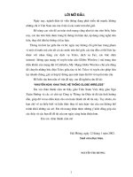 LUẬN VĂN VIỄN THÔNG KHUYẾN NGHỊ KHAI THÁC HỆ THỐNG GLOBE WIRELESS