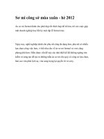 Sơ mi công sở mùa xuân - hè 2012 pptx