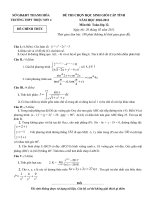 de thi hsg truong 10-11 pot